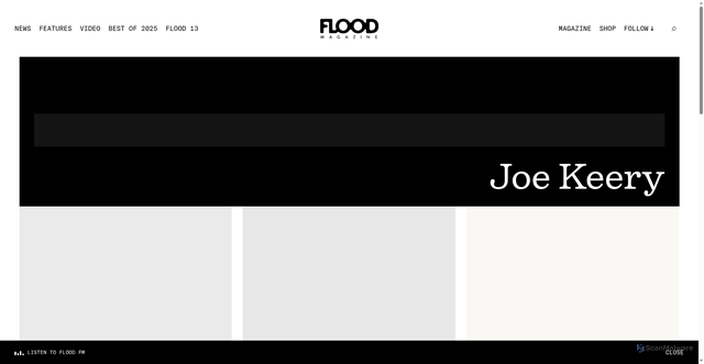 Security scan screenshot of https://floodmagazine.com/t/joe-keery/