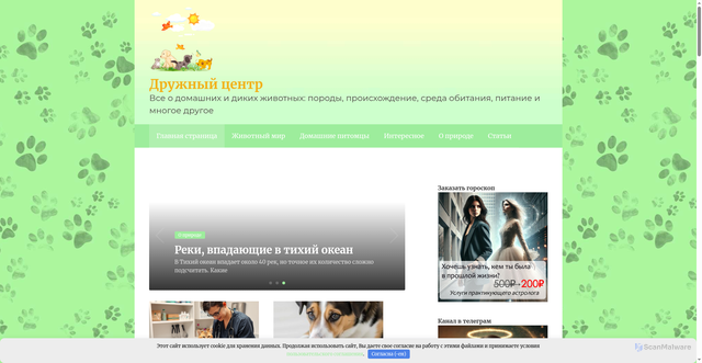 Security scan screenshot of https://druzhniy-center.ru