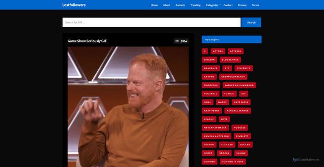 Security scan screenshot of https://bulkfeast.com/game-show-seriously-gif/