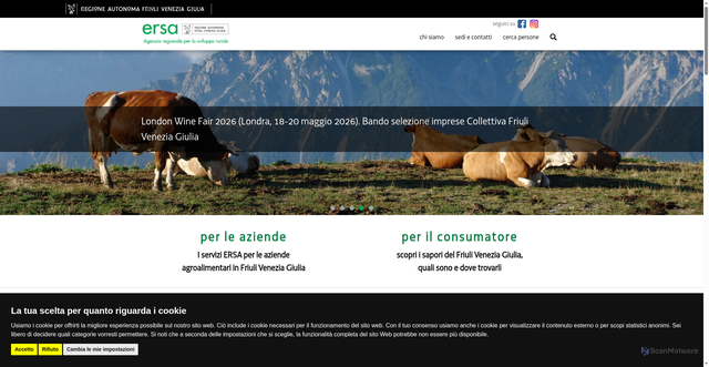 Security scan screenshot of https://www.ersa.fvg.it/cms/hp/;jsessionid=231077EDE4751CD542FB91176230A011