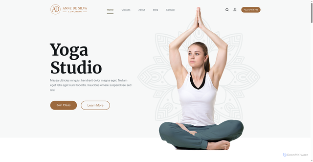 Security scan screenshot of https://anne-desilva.com/
