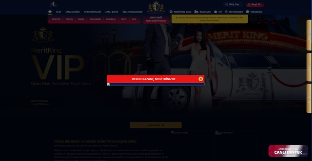 Security scan screenshot of https://mwritking1698.com/vip