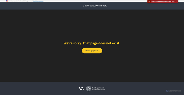 Security scan screenshot of https://www.reach.gov/