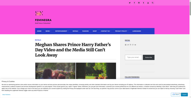 Security scan screenshot of https://feminegra.com/meghan-shares-prince-harry-fathers-day-video-and-the-media-still-cant-look-away/
