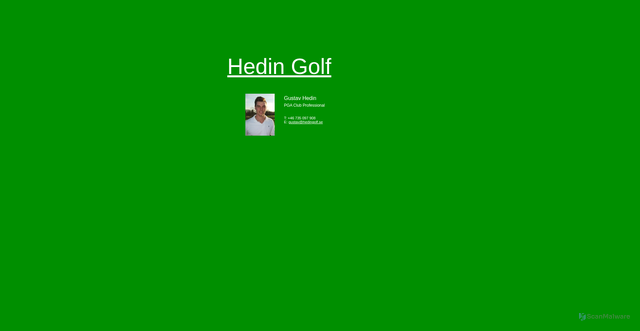 Security scan screenshot of https://hedingolf.se