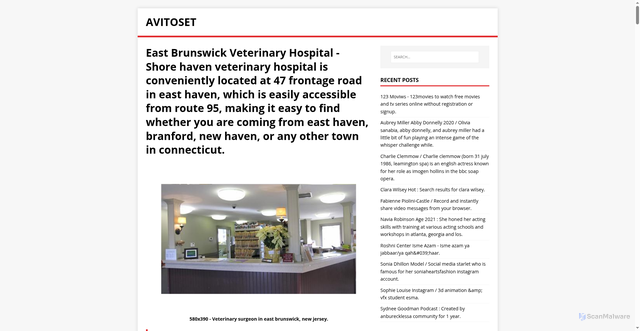 Security scan screenshot of https://toseviar.pages.dev/post/east-brunswick-veterinary-hospital/