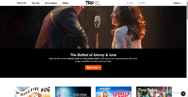 Security scan screenshot of http://www.theatreroyal.com