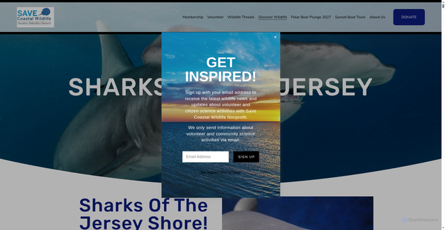Security scan screenshot of https://www.savecoastalwildlife.org/sharks-of-the-jersey-shore