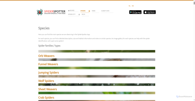 Security scan screenshot of https://www.spiderspotter.com/en/species