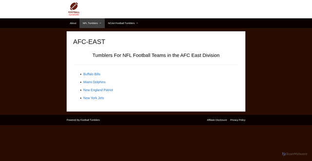 Security scan screenshot of https://footballtumblers.org/nfl-tumblers/afc-east/