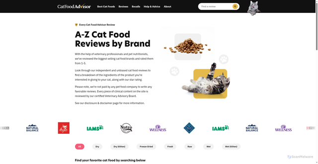 Security scan screenshot of https://www.catfoodadvisor.com/reviews/