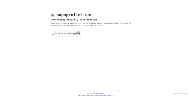 Security scan screenshot of https://napaprolink.com