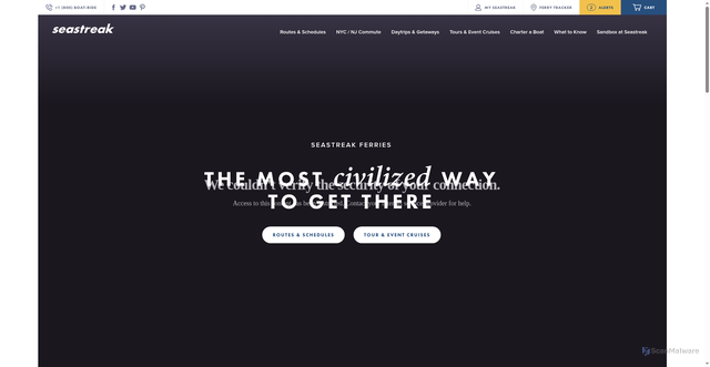 Security scan screenshot of https://seastreak.com/