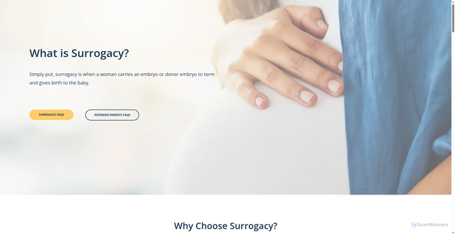 Security scan screenshot of https://www.fairfaxsurrogacy.com/resources/