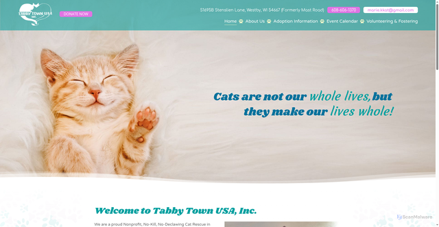 Security scan screenshot of https://tabbytownusa.org