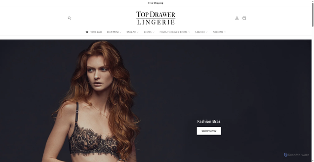 Security scan screenshot of https://www.topdrawerlingerie.com/