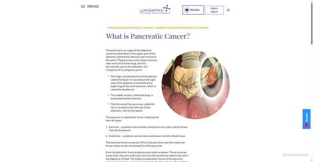 Security scan screenshot of https://lustgarten.org/living-with-pancreatic-cancer/understanding/what-is-pancreatic-cancer/