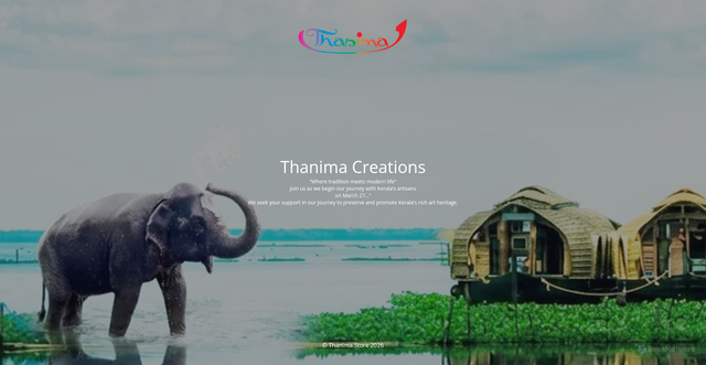 Security scan screenshot of https://thanima.store/product-category/home-decor/