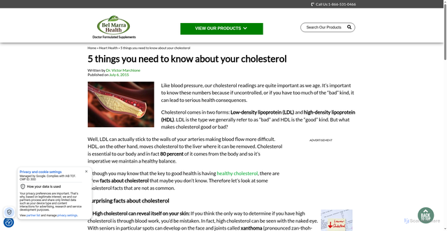 Security scan screenshot of https://www.belmarrahealth.com/5-things-you-need-to-know-about-your-cholesterol/