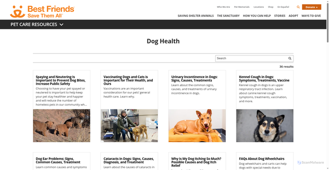 Security scan screenshot of https://bestfriends.org/pet-care-resources/issues/dog-health