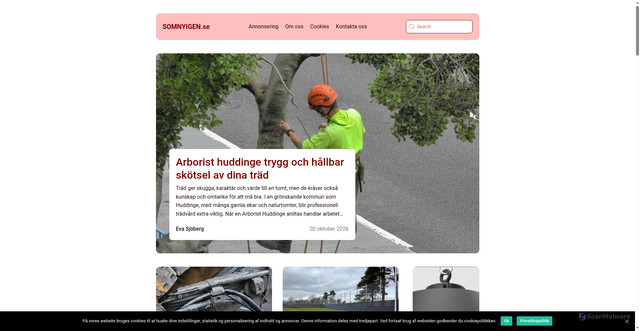 Security scan screenshot of https://somnyigen.se