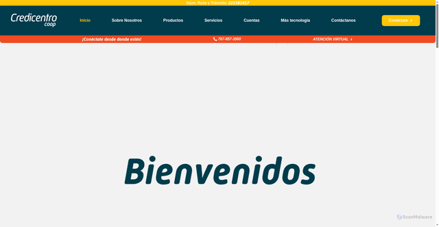Security scan screenshot of https://es-alerta-ingreso.com/
