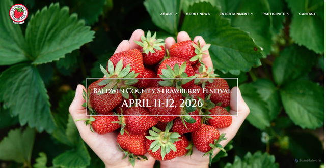 Security scan screenshot of https://baldwincountystrawberryfestival.org/