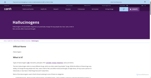 Security scan screenshot of https://www.camh.ca/en/health-info/mental-illness-and-addiction-index/hallucinogens
