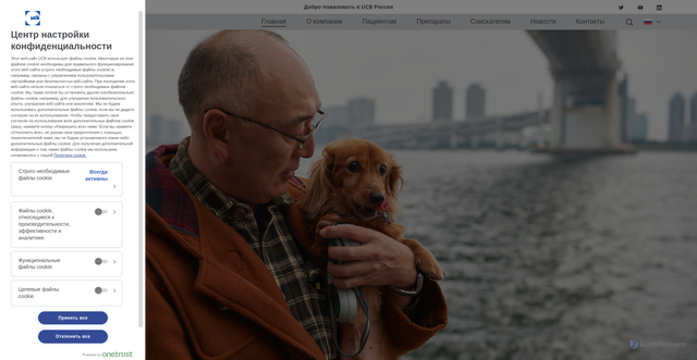 Security scan screenshot of https://ucbrussia.ru