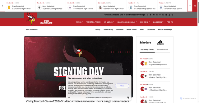 Security scan screenshot of https://vikenation.org/sports/boys-basketball