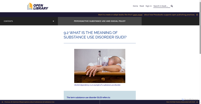 Security scan screenshot of https://ecampusontario.pressbooks.pub/psychoactivesubstancesvls1/chapter/9-2-what-is-the-meaning-of-substance-use-disorder-sud-2/