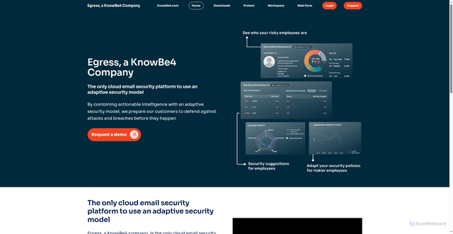 Security scan screenshot of https://egress.com