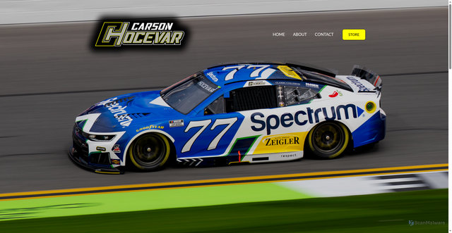 Security scan screenshot of https://carsonhocevar.com/