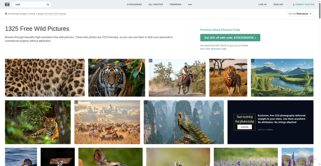 Security scan screenshot of https://gmhkhuj8.pages.dev/search/wild