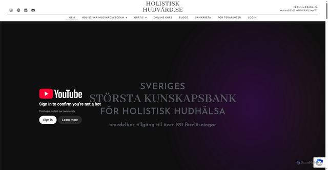 Security scan screenshot of https://holistiskhudvard.se
