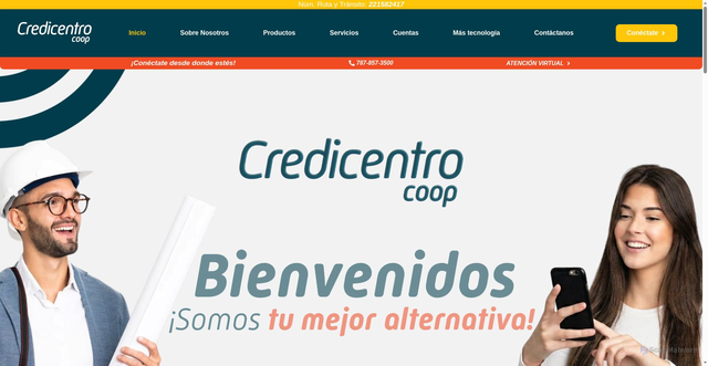 Security scan screenshot of http://control-acceso-online.com/