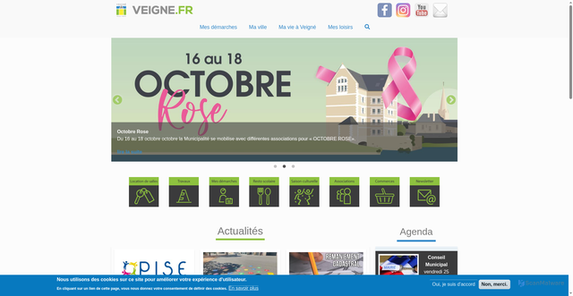 Security scan screenshot of https://veigne.fr