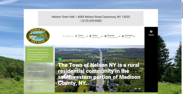 Security scan screenshot of https://nelson-ny.gov/