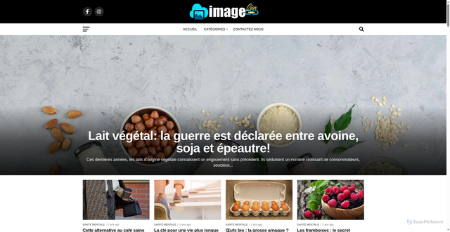 Security scan screenshot of https://imagelien.com