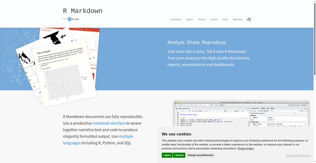 Security scan screenshot of https://rmarkdown.rstudio.com