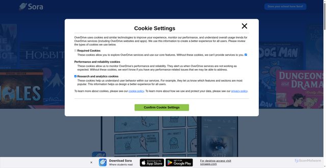 Security scan screenshot of https://overdrive.com/apps/sora