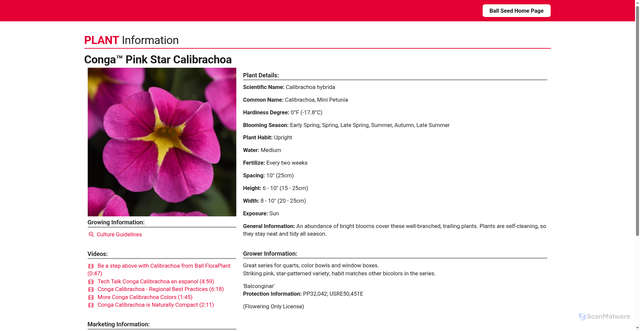 Security scan screenshot of https://info.ballseed.com/PlantInfo/?phid=066006992004175