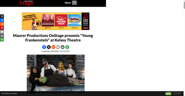 Security scan screenshot of https://www.newjerseystage.com/articles2/2025/10/15/maurer-productions-onstage-presents-young-frankenstein-at-kelsey-theatre