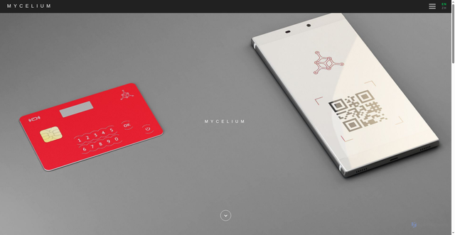 Security scan screenshot of https://mycelium.com