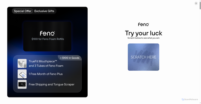 Security scan screenshot of https://feno.co