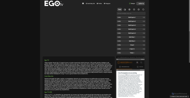 Security scan screenshot of https://silbastan.pages.dev/sayac.html