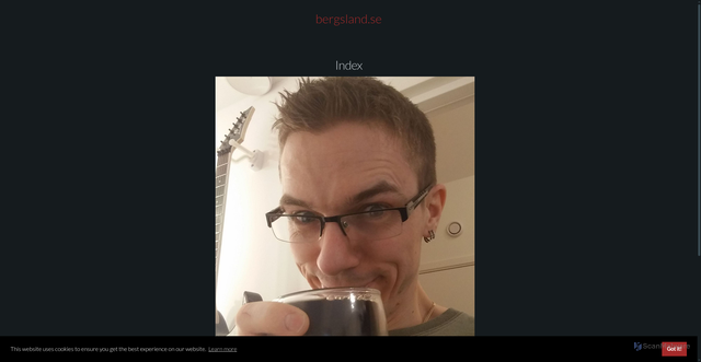 Security scan screenshot of https://bergsland.se