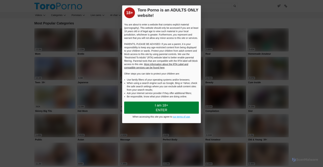Security scan screenshot of https://toroporno.com