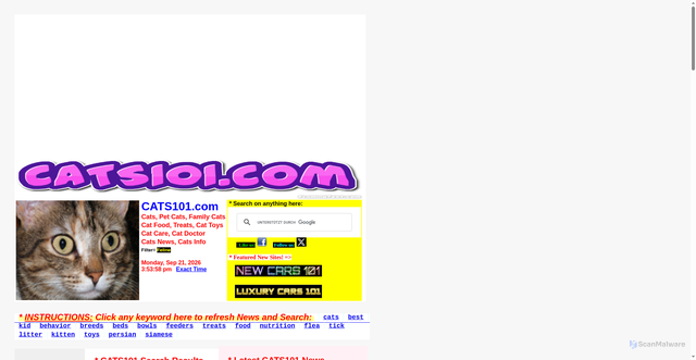 Security scan screenshot of https://www.cats101.com/