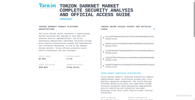 Security scan screenshot of https://torzon-market-link.help/